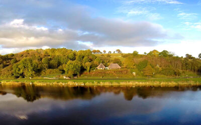 Limerick’s Lake District Embraces Woodland Coffee to Address Threat of Climate Change