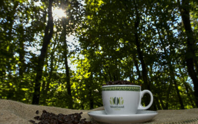 The motivation behind Woodland Coffee