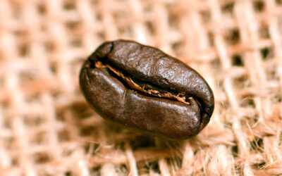 Extracting the perfect coffee flavour